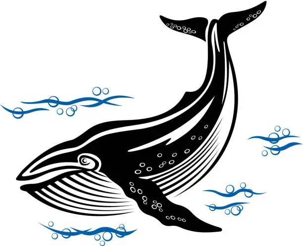 Vector illustration of Big whale