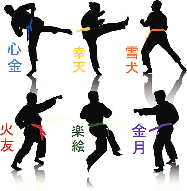 ilustraciones, imágenes clip art, dibujos animados e iconos de stock de siluetas de karate - martial arts women tae kwon do black belt