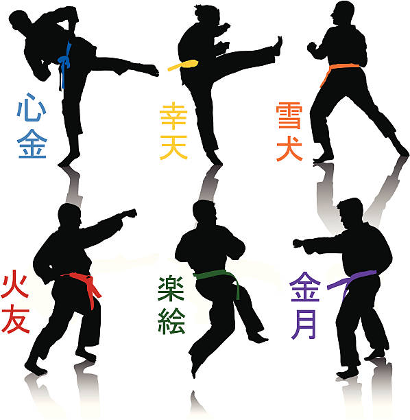 ilustrações, clipart, desenhos animados e ícones de karate silhuetas - muay thai kickboxing women martial arts