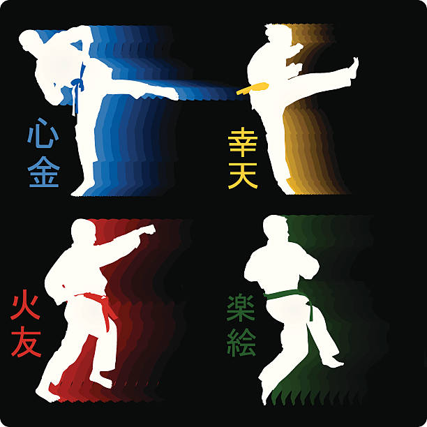 ilustraciones, imágenes clip art, dibujos animados e iconos de stock de karate - martial arts women tae kwon do black belt