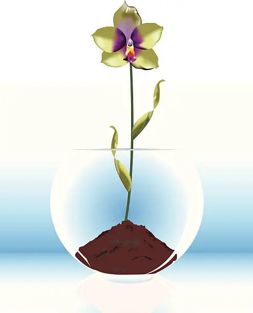 Vector illustration of Orchid Bowl