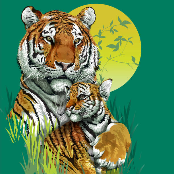 Tiger family in jungle. Tiger family in jungle. tiger safari animals close up front view stock illustrations