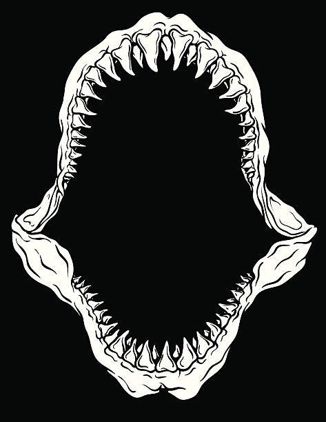 ilustraciones, imágenes clip art, dibujos animados e iconos de stock de tiburón vector ilustración aislado de mordaza - afilado ilustraciones