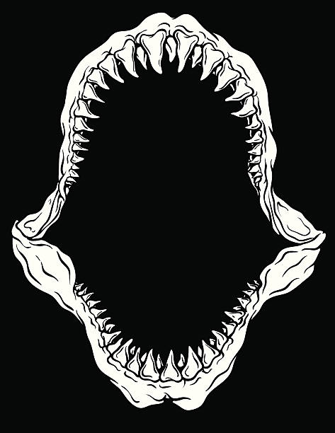 4,434 Shark Teeth Illustrations & Clip Art - iStock | Shark teeth white background, Shark teeth vector, Shark teeth child 4,434 Shark Teeth Illustrations & Clip Art - iStock | Shark teeth white background, Shark teeth vector, Shark teeth child