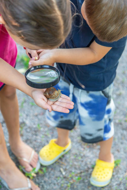 istock The child looks at the snail nature. Selective focus. 1644782792