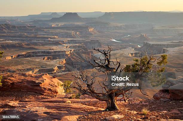 Złoty Zachód Słońca Widok W Canyonlands Utah Stany Zjednoczone - zdjęcia stockowe i więcej obrazów Góra