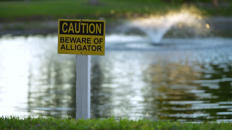 Alligator danger warning signpost in Florida waterfront park about caution and safety during walking near water