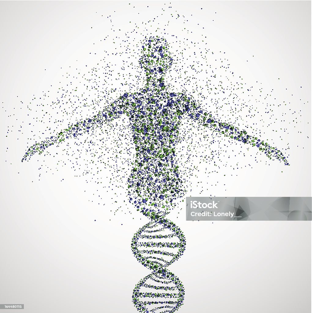 Prototype of women Abstract model of woman of DNA molecule. Illustration contains transparency and blending effects, Eps 10 Construction Industry stock vector