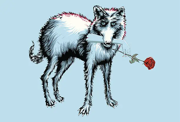 Vector illustration of Wolf with rose in a hand