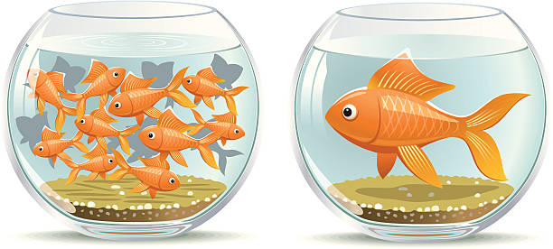 水族館の比較 - characters cooperation teamwork orange点のイラスト素材／クリップアート素材／マンガ素材／アイコン素材