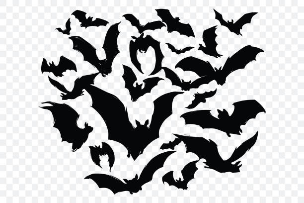 ilustrações de stock, clip art, desenhos animados e ícones de a flock of bats isolated on transparent background. black silhouettes of flying bats in different poses. hand drawn style. scary element for halloween design. vector illustration - morcego