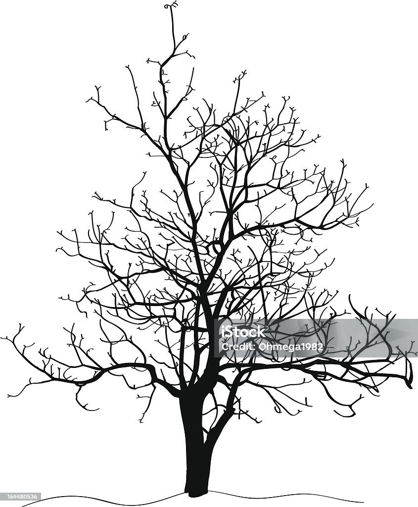 Toter Baum ohne Blätter-Vektor-Illustration skizzierte. - Lizenzfrei Abgestorbene Pflanze Vektorgrafik