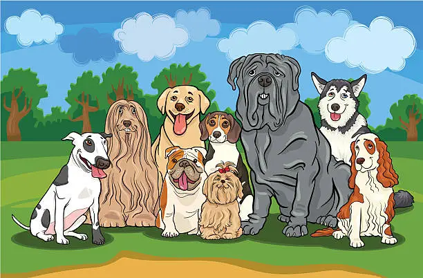 Vector illustration of purebred dogs group cartoon illustration