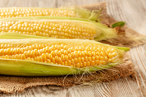 Fresh ripe corncobs on a wooden background. Rural still life with corn