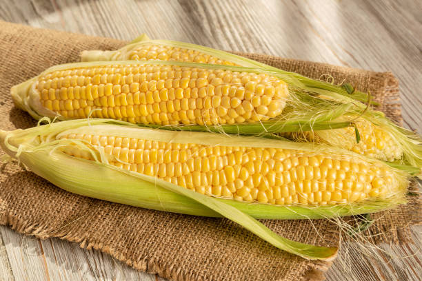 istock Ripe corncobs on a wooden background 1644810338
