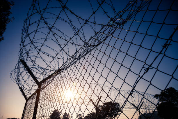 istock Barbed Wire Fence in Jail 164482019