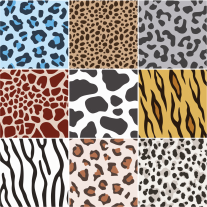 Seamless Animal Skin Texture Pattern Stock Illustration - Download Image  Now - Africa, Animal, Animal Body Part - iStock