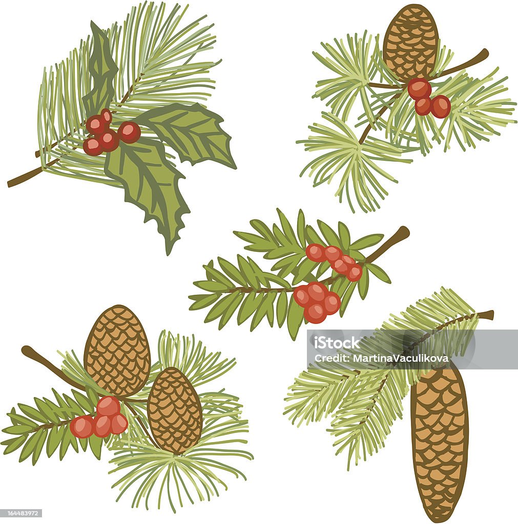 Illustration Of Evergreen Branches With Cones And Berries Stock