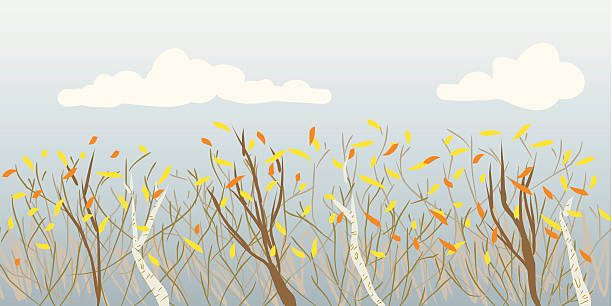 Fall Tree Tops vector art illustration