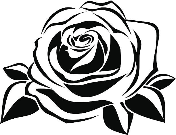 ilustraciones, imágenes clip art, dibujos animados e iconos de stock de negra silueta de rosa. ilustración vectorial. - silhouette beautiful flower head close up