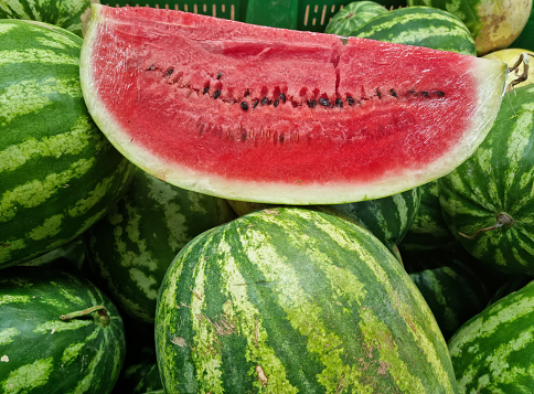 Fresh sweet watermelon on market stall as background. Ripe freshly picked water melons pile at farmers market