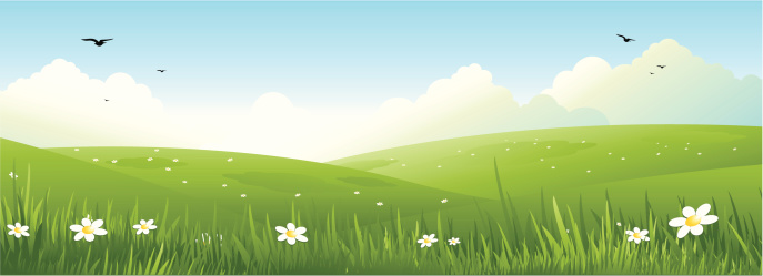 Spring Simple Picture Spring Nature Landscape Stock Illustration - Download Image Now - 12 O ...