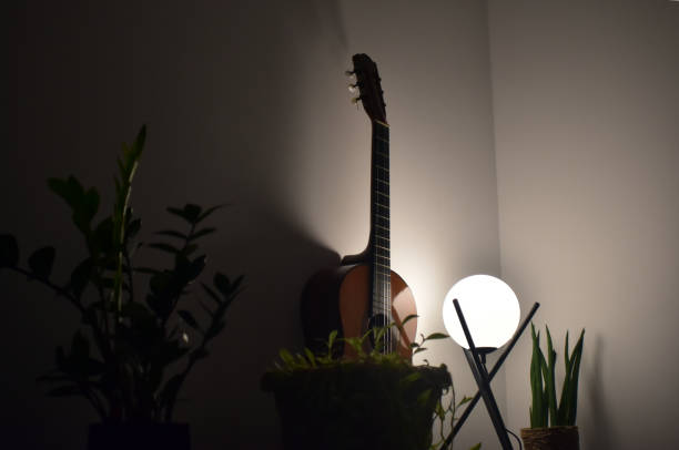 istock Guitar, plants and lamp house interior. 1644874824