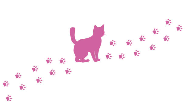 올라가는 고양이, 발자국, 발자국. 고양이 발자국의 경로입니다. 핑크 퍼플 실루엣. 흰색으로 분리된 벡터입니다. 애완동물. 디자인, 포스터, 애완 동물 가게, 표지, 인쇄, 로고 - paw print animal track dirt track stock illustrations