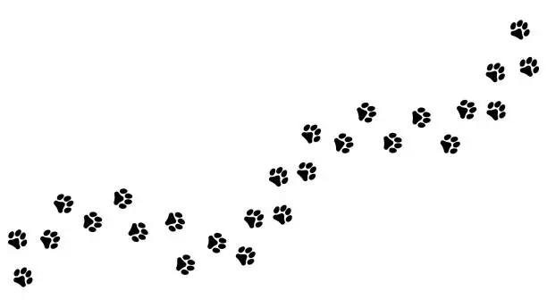 Vector illustration of Track of paw footprints from a cat, tiger, lion, jaguar, panther, leopard, snow bars, cougar, cheetah, felines. Silhouette diagonal track. Vector. For pet shop, textiles, print on clothes