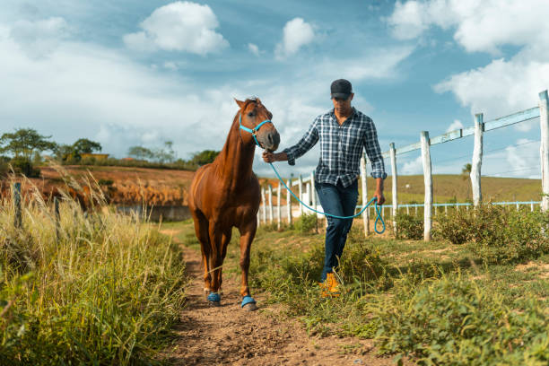 istock Horseback riding in non-urban area 1644899900