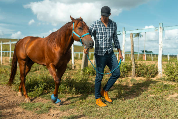 istock Horseback riding in non-urban area 1644899905