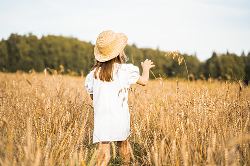 Happy girl walks in beautiful wheat field, embracing summer's yellow sun, nature freedom outdoors. White dress, straw hat, surrounded by rye, barley. Autumn harvest time rural scene.Own piece of land.