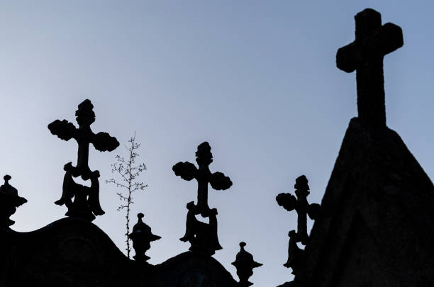 Terre-Cabade Cemetery in Toulouse stands as the largest cemetery in the region, sprawling across a 33-hectare area on the Jolimont hillside. The oldest part of the Cemetery was realized in 1840. The image shows several graves, captured during spring season.