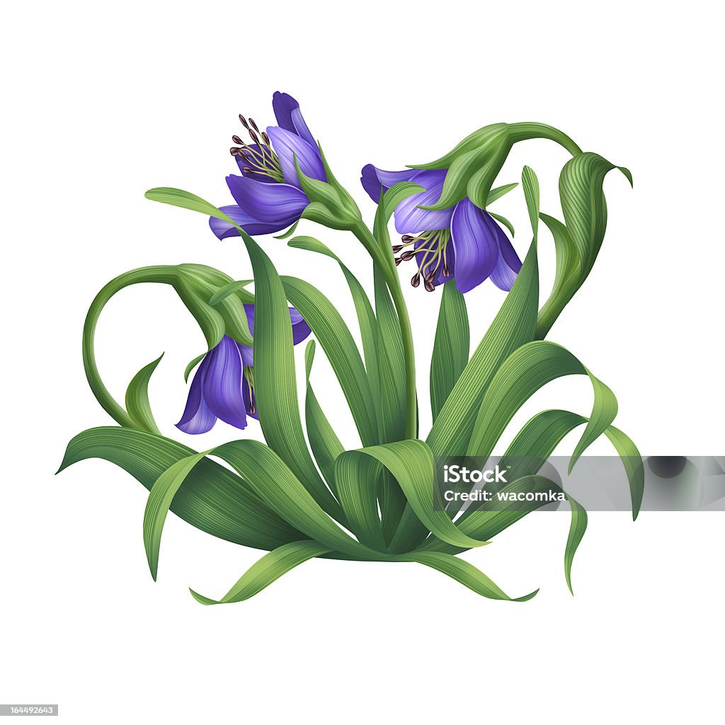 Verde relva e azul de Primavera Flores de Primavera - Royalty-free Azul Ilustração de stock