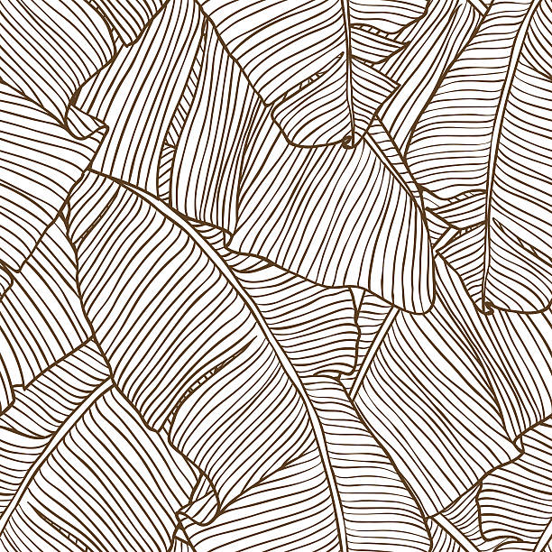 벡터 일러스트레이션 잎은 팜형 나무. 연속무늬. - palm leaf leaf palm tree frond stock illustrations