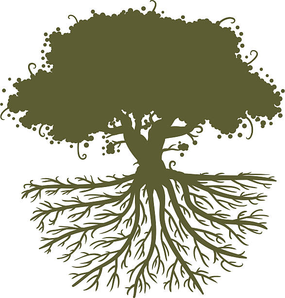 tree roots silhouette vector art illustration