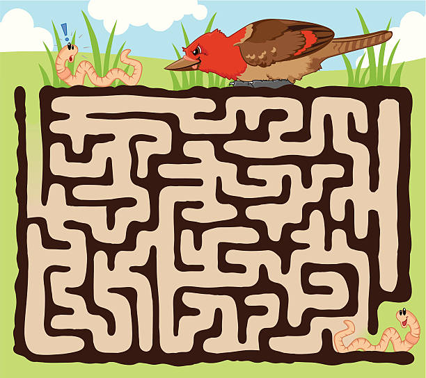 Worm and bird maze game vector art illustration