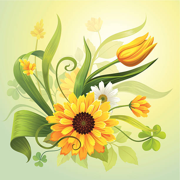 노란색 꽃 - tulip sunflower single flower flower stock illustrations