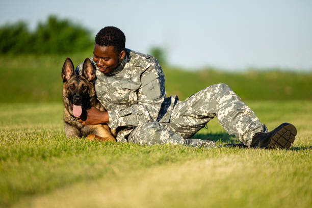 istock Soldier in uniform playing and cuddling with his military dog. 1644962292