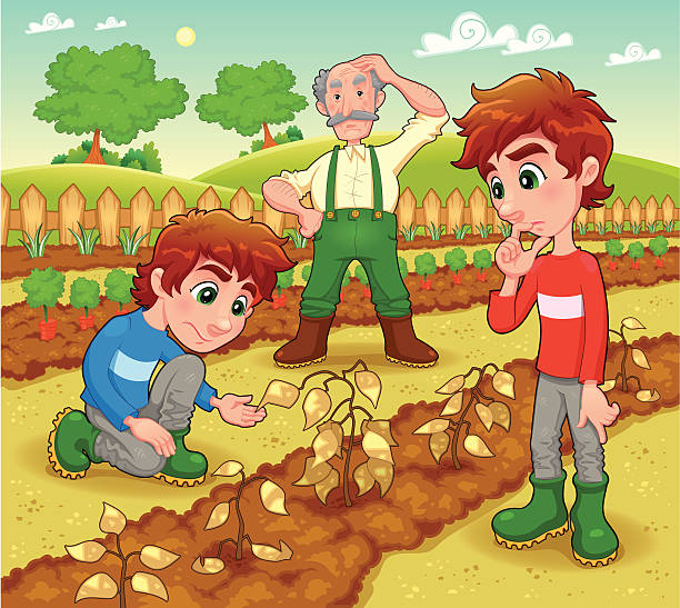 Funny scene in the vegetable garden. vector art illustration