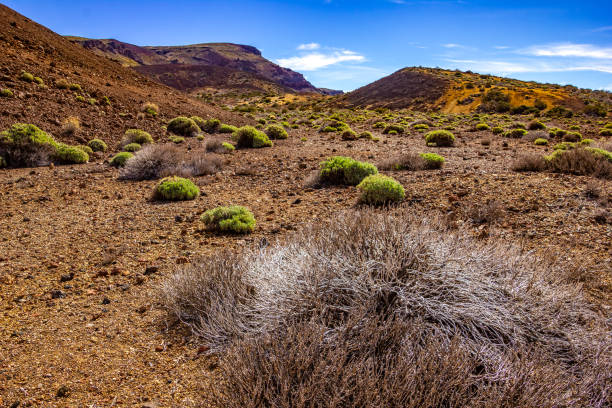 istock Trek through Las Canadas National park, Pico del Teide, Tenerife 1644966849