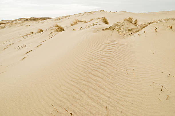 istock Sand dunes in the desert 164497416