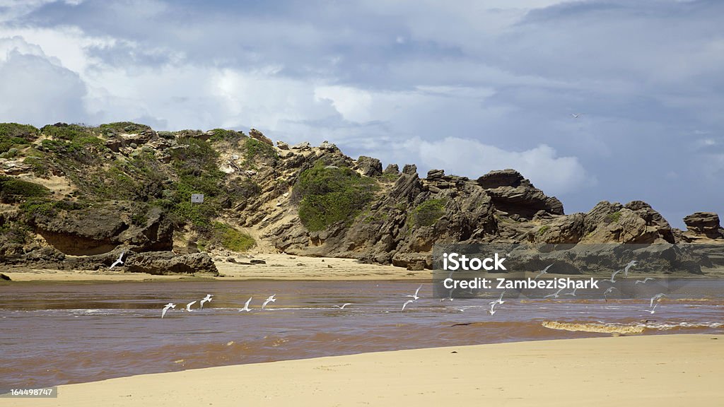 Bushman bocca del fiume - Foto stock royalty-free di Kenton-On-Sea