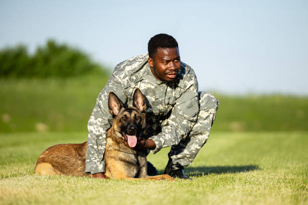 istock Soldier in uniform standing by his military dog. 1644988000