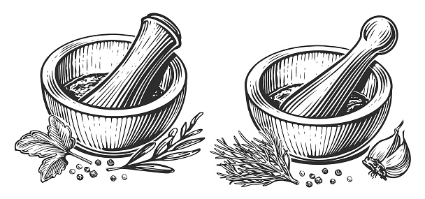 Mortar and pestle engraving style. Herbs and spices. Hand drawn sketch vintage illustration