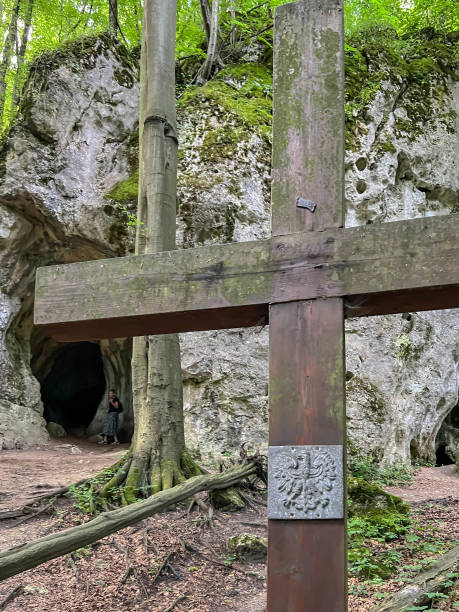 jaskinia ostreznicka na terenie złotego potoku w jurze krkowsko-częstochowskiej - cros zdjęcia i obrazy z banku zdjęć