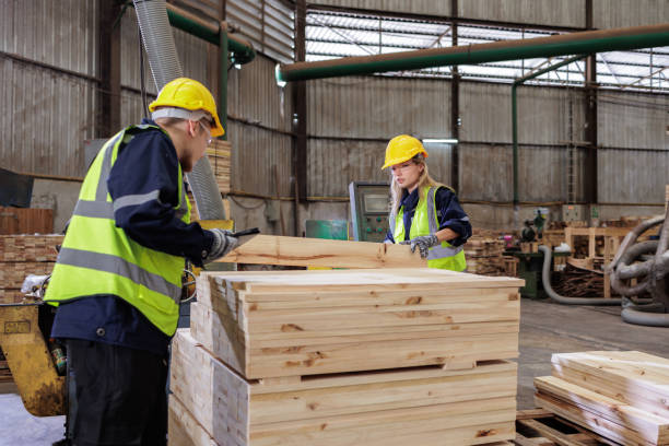 engenheiros sérios inspecionando pranchas de madeira em serraria - construction frame wood accuracy adult - fotografias e filmes do acervo