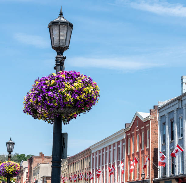 istock Flowers on a lamp post Canadian flags on buildings 1645072696