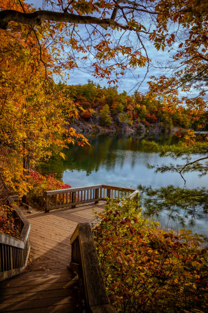 istock Fall foliage at Pink Link, Gatineau Park, Quebec, Canada 1645098170