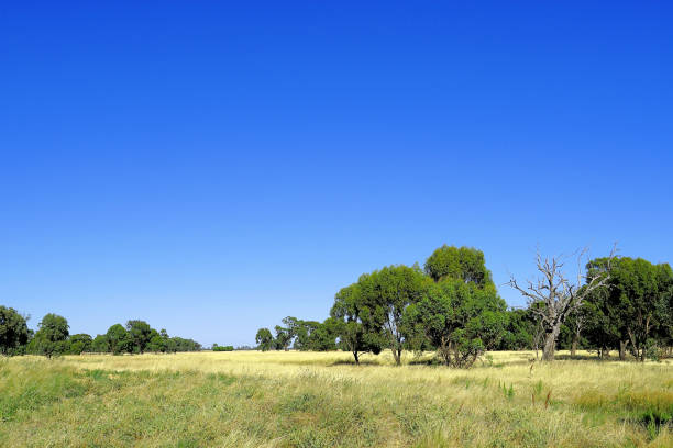 istock Mathoura,  New South Wales, Australia 1645135434
